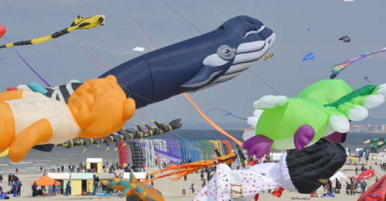 Rencontres Internationales de Cerfs-Volants à Berck-sur-Mer