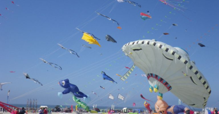 Rencontres Internationales de Cerfs-Volants à Berck-sur-Mer