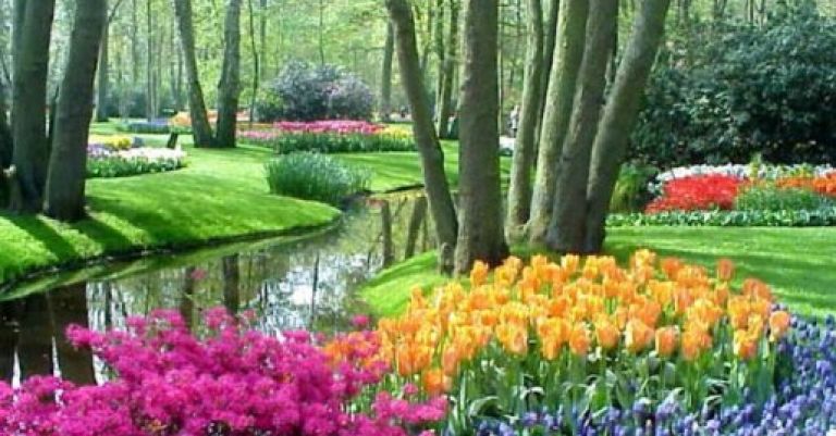 Parc floral Keukenhof