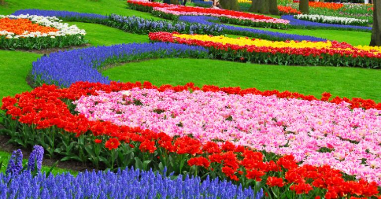 Parc floral Keukenhof