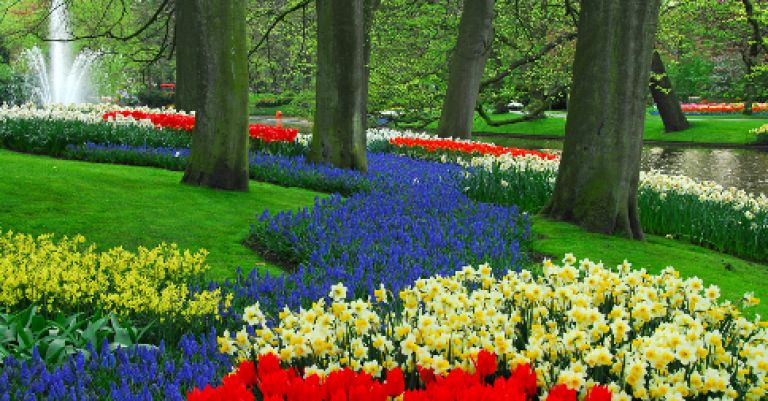 Parc floral Keukenhof