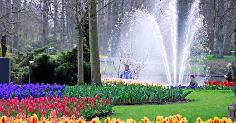 Parc floral Keukenhof