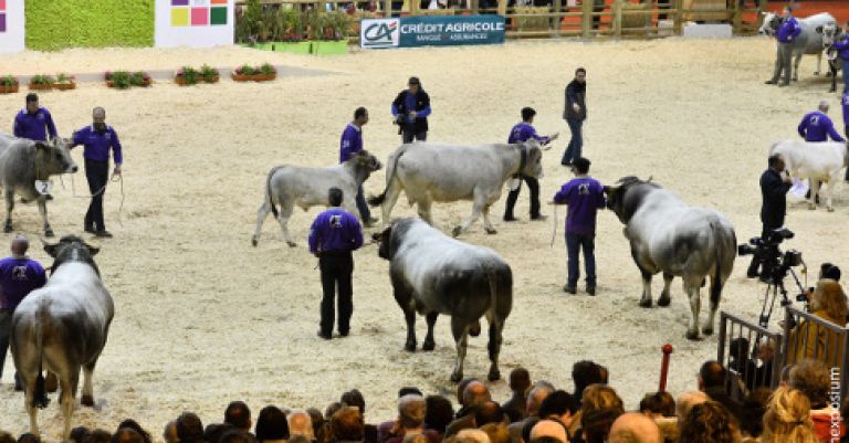 Salon de l'agriculture