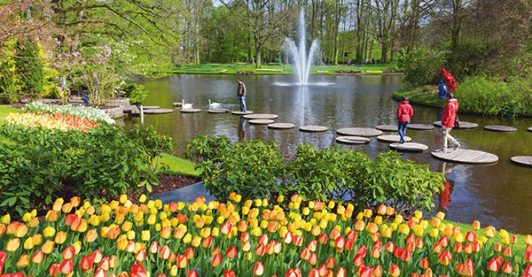 Parc floral de Keukenhof, Amsterdam et ses tulipes