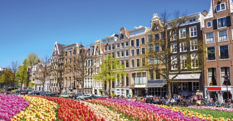 Parc floral de Keukenhof, Amsterdam et ses tulipes