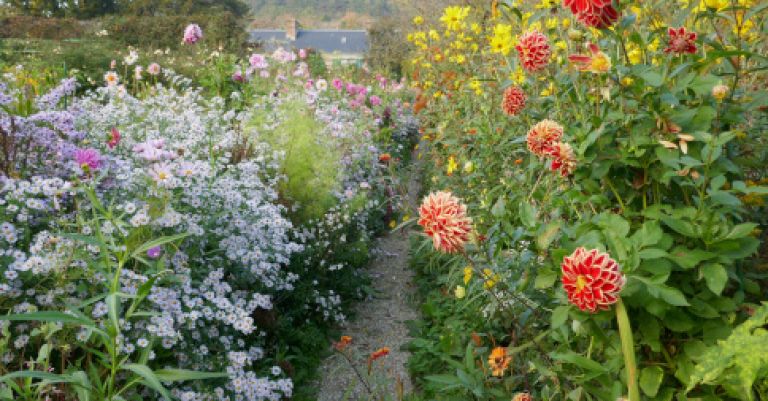 Giverny, fondation monet & cidrerie artisanale