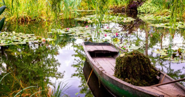 Giverny, fondation monet & cidrerie artisanale