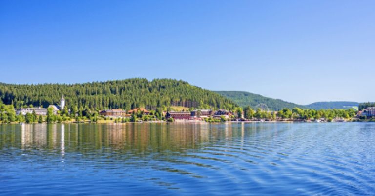 Forêt Noire et Lac de Constance (Allemagne)