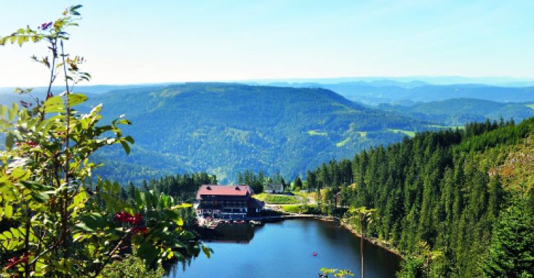 Forêt Noire et Lac de Constance (Allemagne)