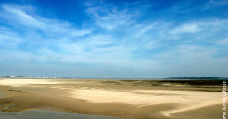 Baie de Somme