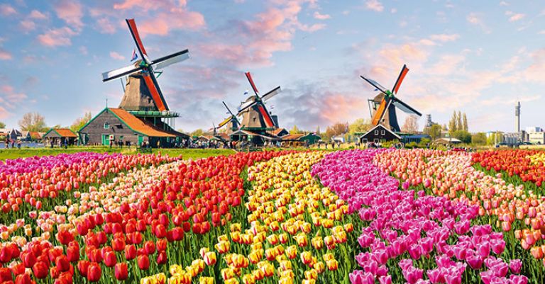 La Hollande et ses tulipes - Parc Floral de Keukenhof et Amsterdam
