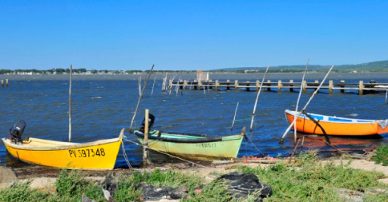 Séjour en Languedoc