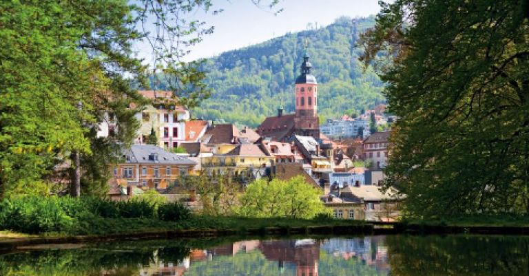 Séjour Vallée du Rhin et de la Moselle