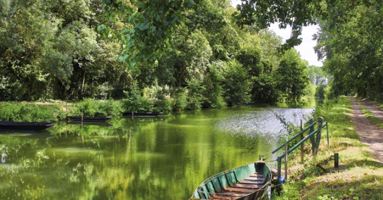 Puy du Fou - Marais Poitevin & Ile de Noirmoutier 