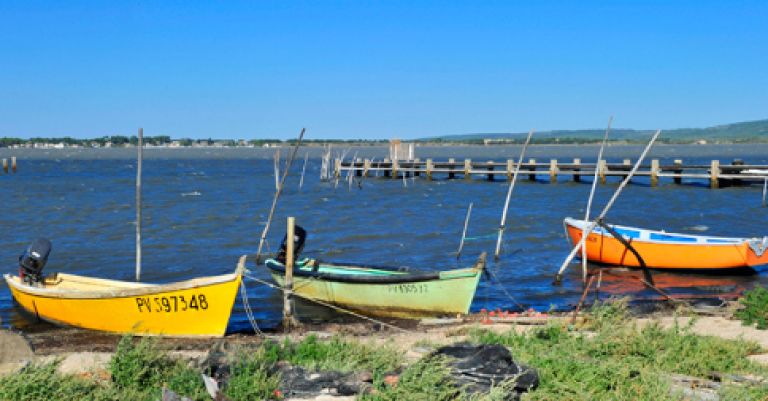 Séjour sur la côte Varoise