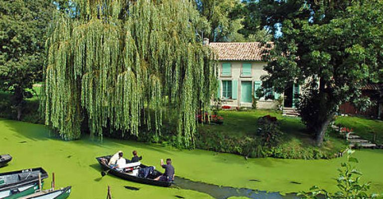 Noirmoutier & la Vendée