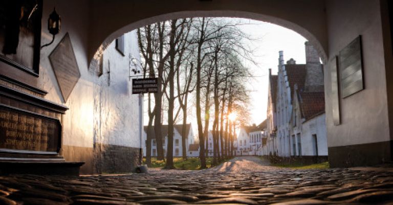 Bruges croisière sur les canaux