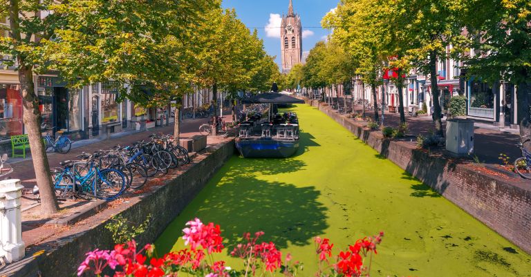Week-end Amsterdam, Delft & les moulins de Kinderdijk