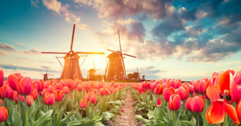 Week-end Amsterdam, Delft & les moulins de Kinderdijk