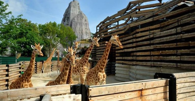 Château de Vincennes et Zoo de Vincennes