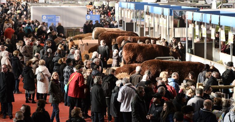 Salon de l'agriculture - Paris