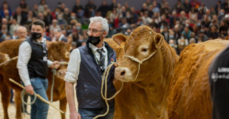 Salon de l'agriculture - Paris