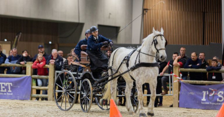 Salon de l'agriculture - Paris