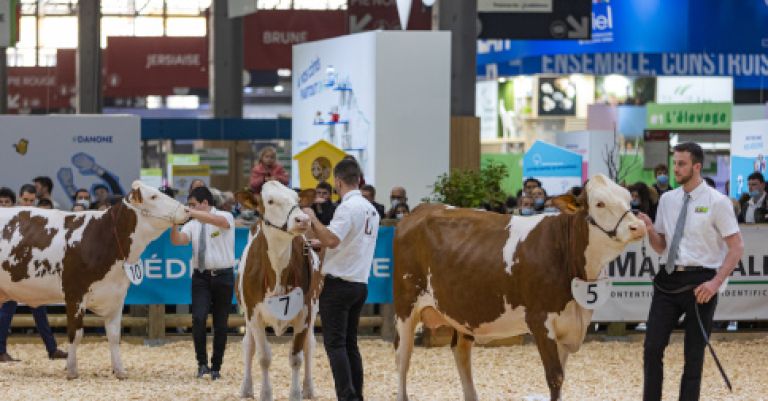 Salon de l'agriculture - Paris