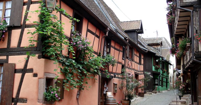 Séjour dans les Vosges