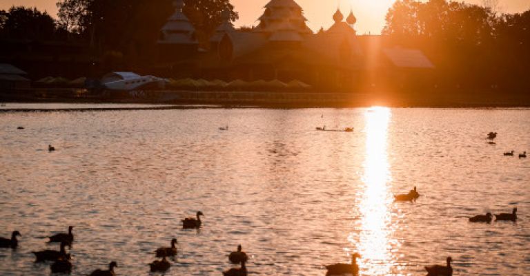 Pairi Daiza, élu meilleur zoo d'Europe