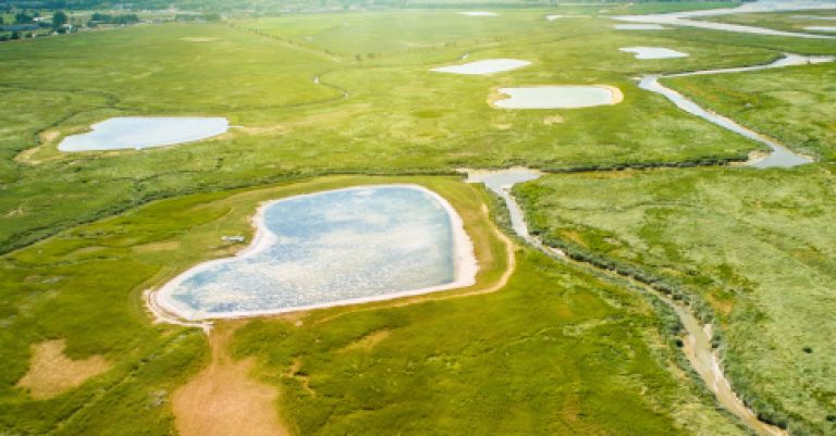 Baie de Somme : train touristique, Le Crotoy & Saint Valery