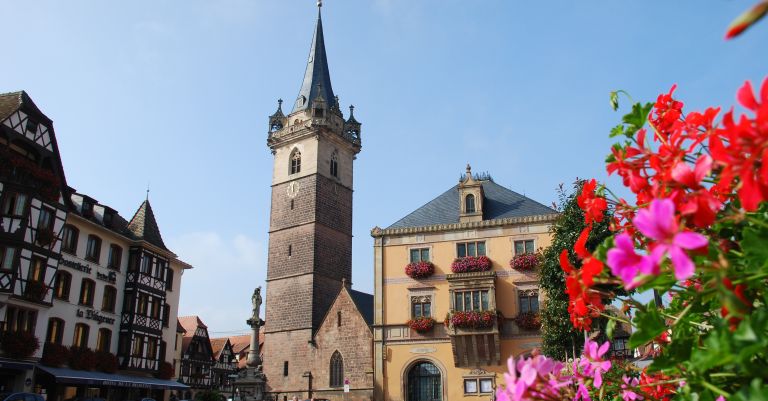 Les plus beaux marchés de Noël d'Alsace & Déjeuner spectacle au Royal palace