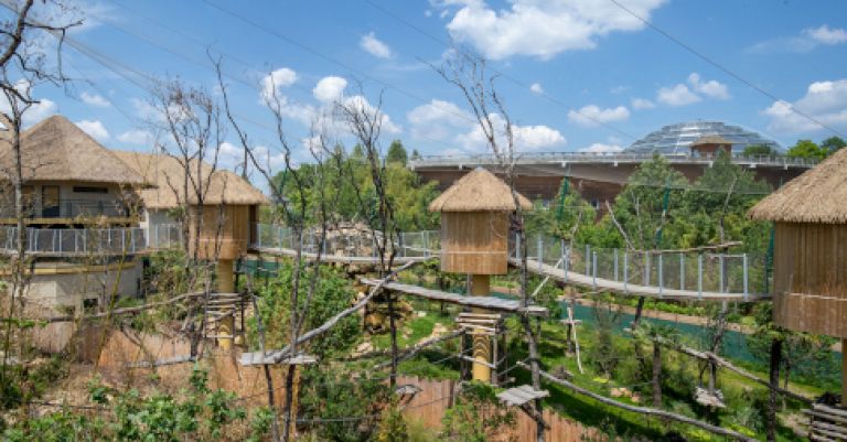 Week-end zoo de Beauval
