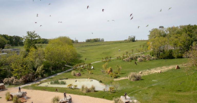 Week-end zoo de Beauval