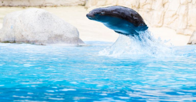 Week-end zoo de Beauval
