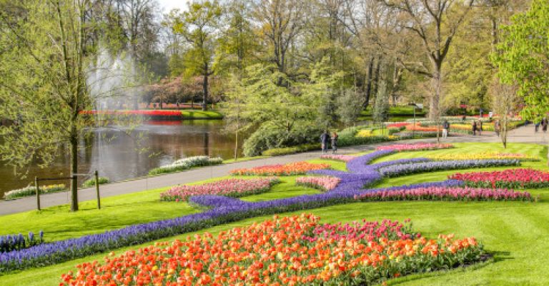 Parc floral Keukenhof