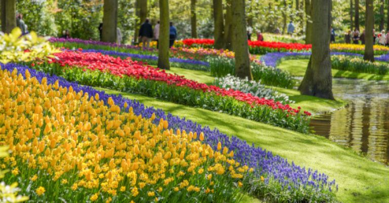 Parc floral Keukenhof