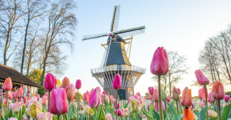 Parc floral Keukenhof