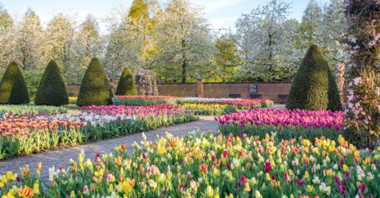 Parc floral Keukenhof