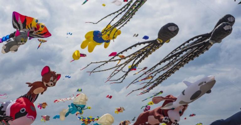 Rencontres Internationales de Cerfs-Volants à Berck-sur-Mer
