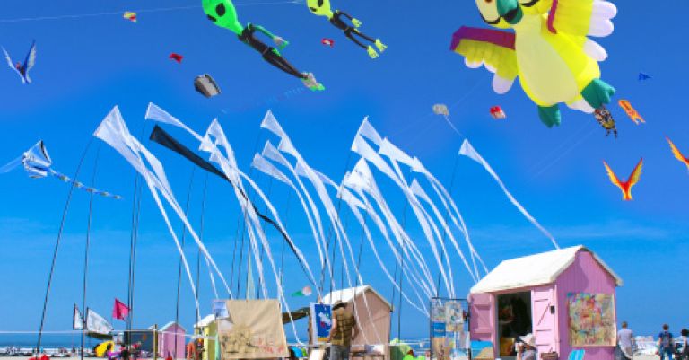 Rencontres Internationales de Cerfs-Volants à Berck-sur-Mer