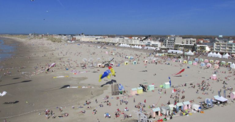 Rencontres Internationales de Cerfs-Volants à Berck-sur-Mer