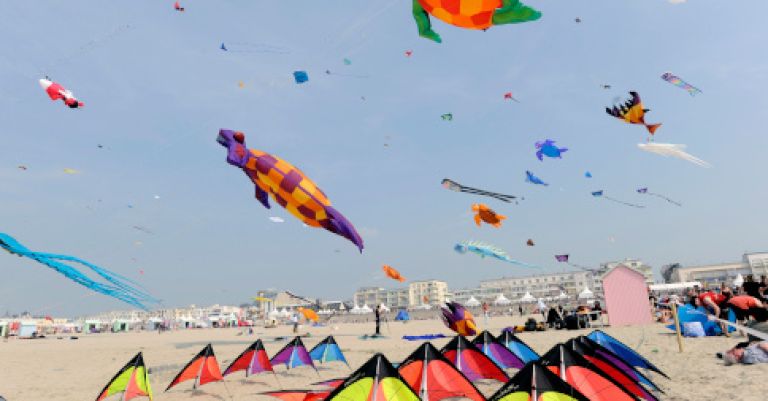 Rencontres Internationales de Cerfs-Volants à Berck-sur-Mer