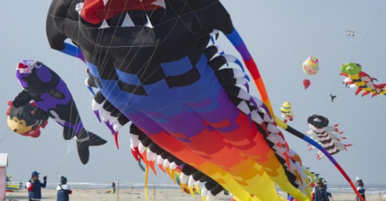 Rencontres Internationales de Cerfs-Volants à Berck-sur-Mer
