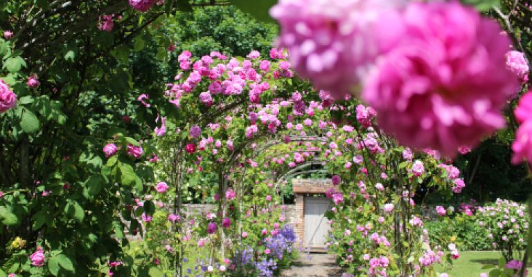 Fête des roses à Gerberoy