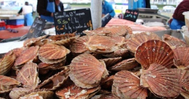 Fête de la Saint Jacques - Etaples sur Mer