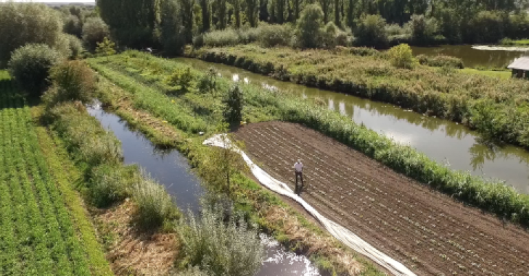 Marais Audomarois, croisière, déjeuner & La coupole d'Helfaut