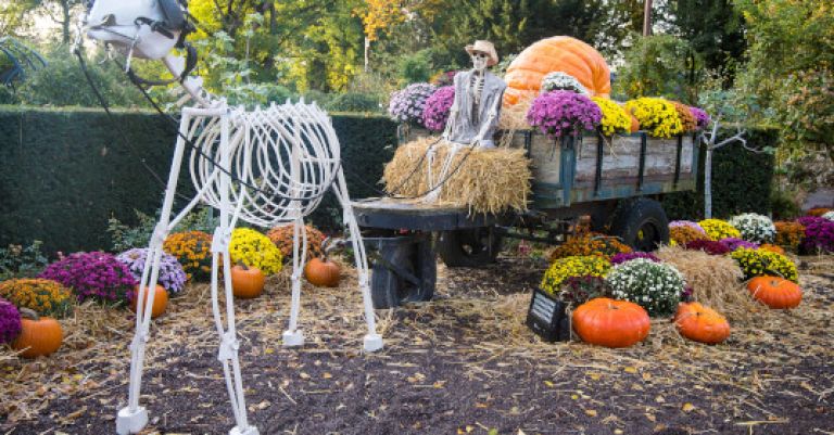 Pairi Daiza Halloween