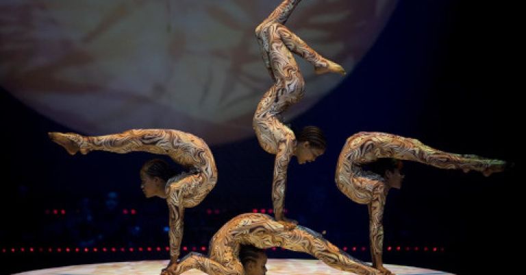 Cirque Phénix - Paris 