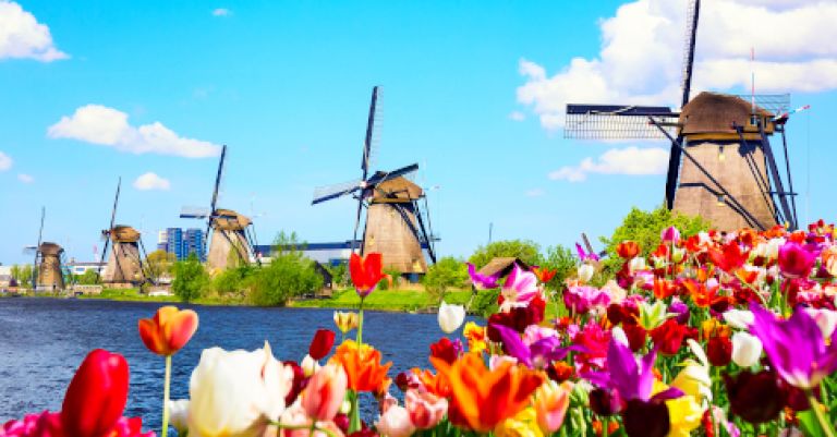 Week-end Amsterdam, Keukenhof & les moulins de Kinderdijk